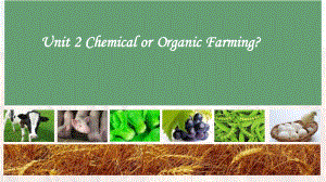 必修4Unit-2-Chemical-or-Organic-Farming公开课优质获奖课件.pptx