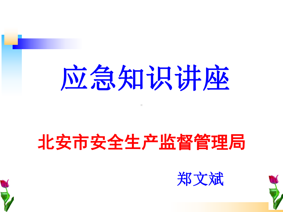 应急管理课件(终稿).ppt_第2页