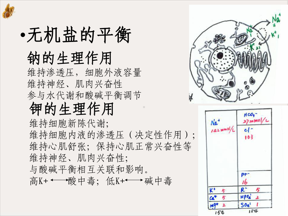 护士执业资格考试外科护理学ppt课件.ppt_第3页