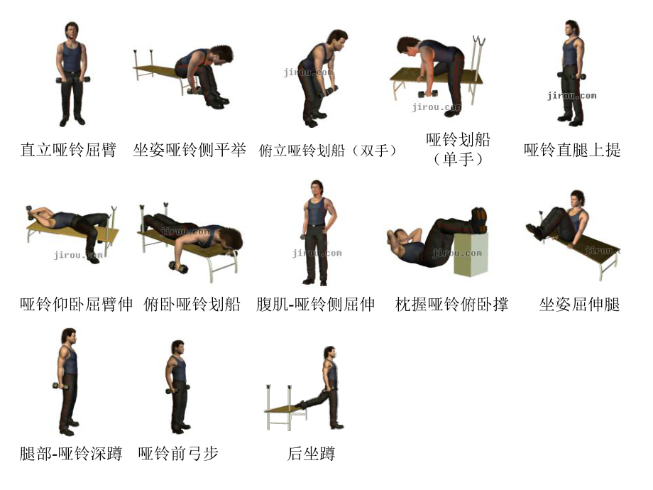 哑铃健身动作动态详细图解课件.pptx_第3页