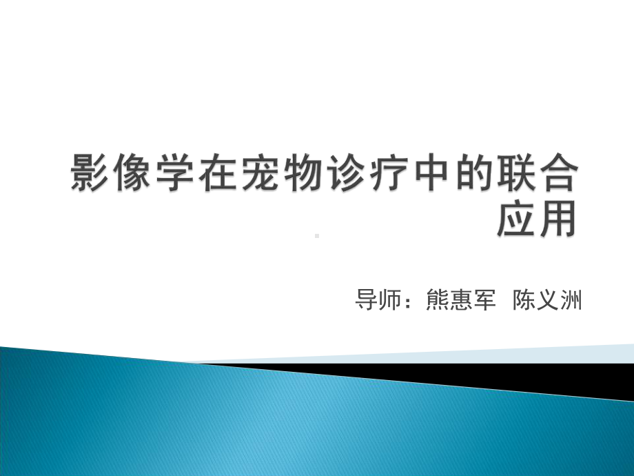 影像学在宠物诊疗中的联合应用精品PPT课件.pptx_第1页