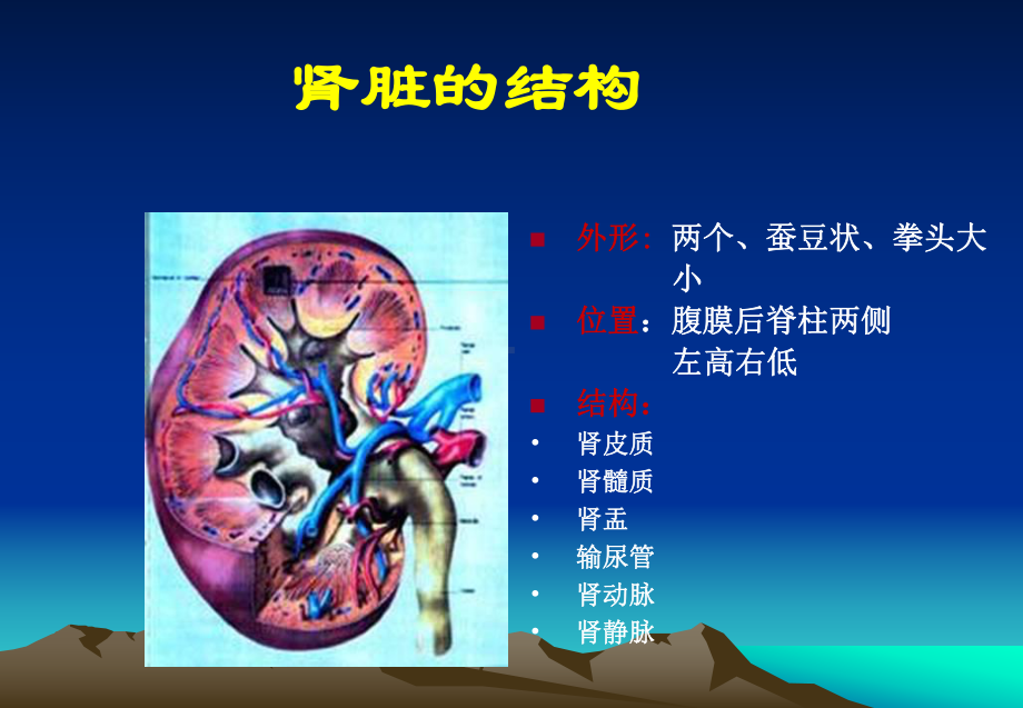 慢性肾脏疾病的护理ppt课件.ppt_第2页