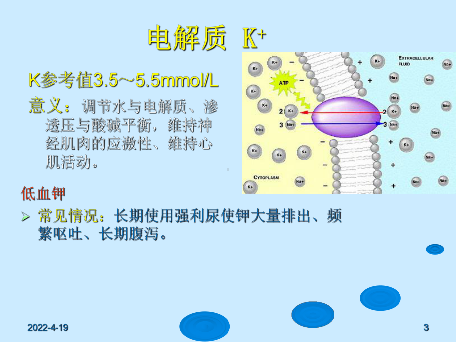 心内科常见检查及其意义PPT培训课件.ppt_第3页