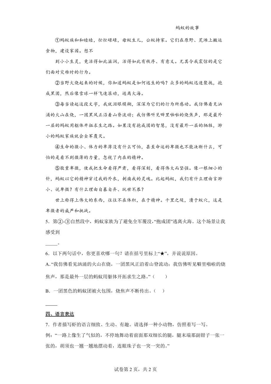 部编版语文三年级下册15小虾练习卷13.docx_第2页