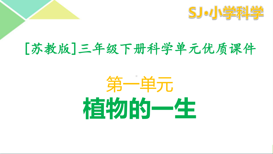 苏教版三年级（下）科学第一单元植物的一生全套课件.pptx_第1页