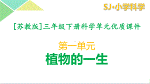 苏教版三年级（下）科学第一单元植物的一生全套课件.pptx