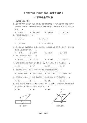 2020-2021南京南外河西河外新城南七年级下册数学期中试卷及答案.pdf