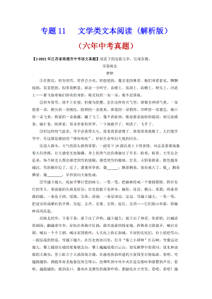 文学类文本阅读语文试题分项汇编（江苏专用）.docx