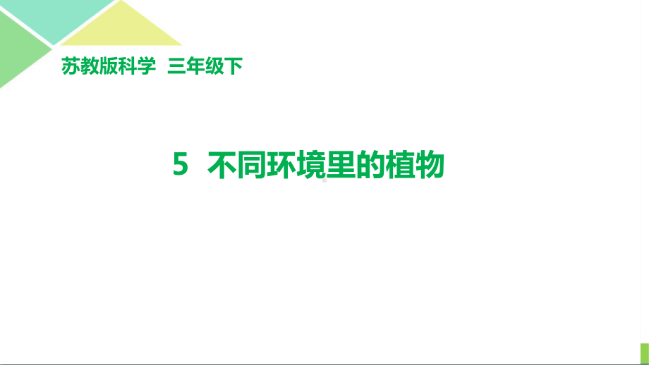 苏教版三年级（下）科学第二单元植物与环境全套课件.pptx_第3页