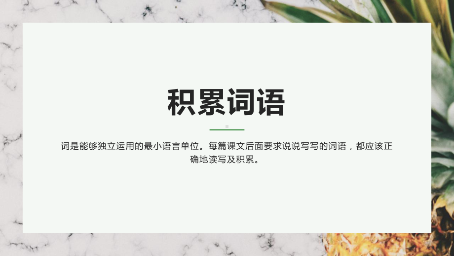 （统编）小升初语文归类复习资料(三)词语精讲课件.pptx_第3页