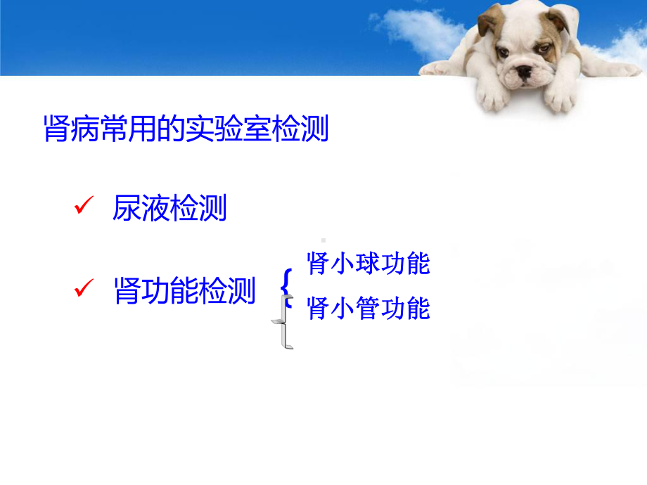 （新整理）诊断学肾功能检测ppt课件.ppt_第3页