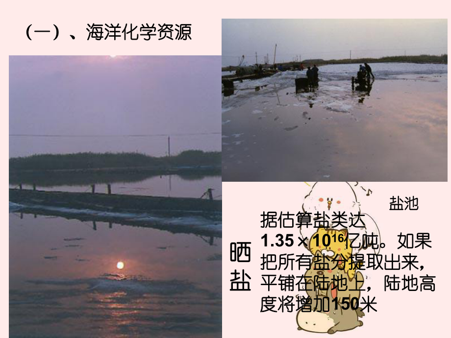 《海洋资源利用和海洋环境保护》课件.ppt_第3页