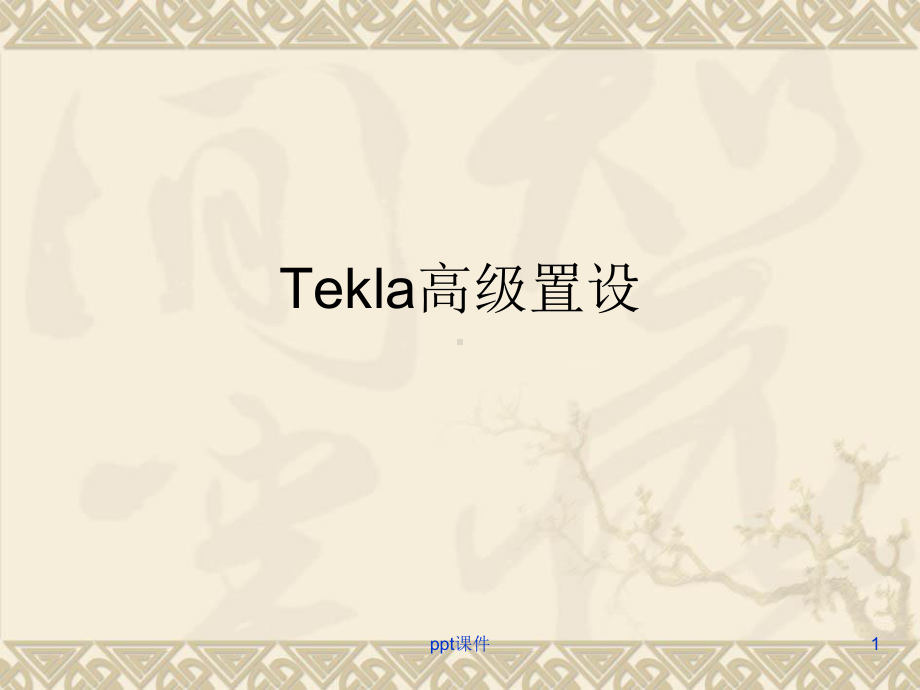 Tekla高级置设-ppt课件.ppt_第1页