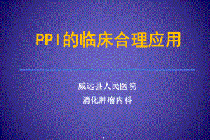 PPI的合理应用课件.ppt.ppt