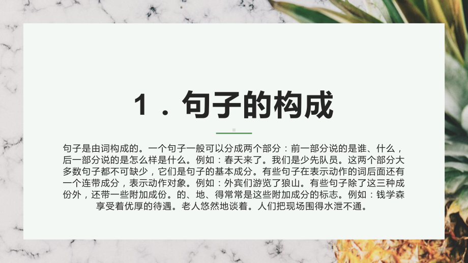 （统编）小升初语文归类复习资料(四)句子精讲课件.pptx_第3页