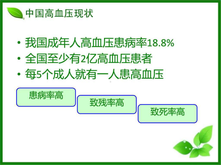 《高血压培训》PPT课件.ppt_第2页