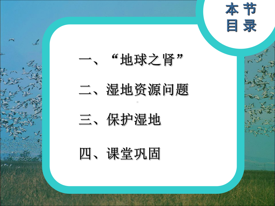 公开课-湿地资源的开发与保护-一等奖-完整PPT课件.ppt_第2页