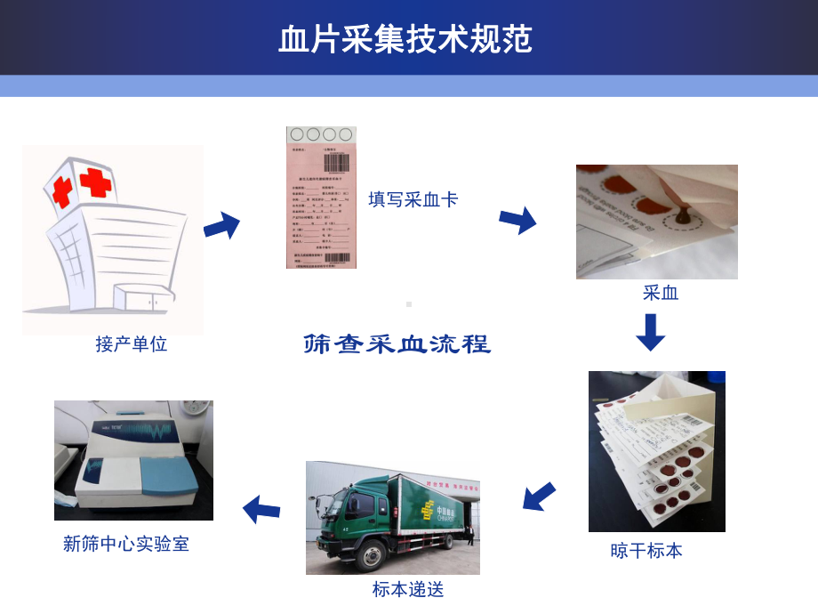 （新整理）新筛采血技术培训ppt课件.ppt_第3页