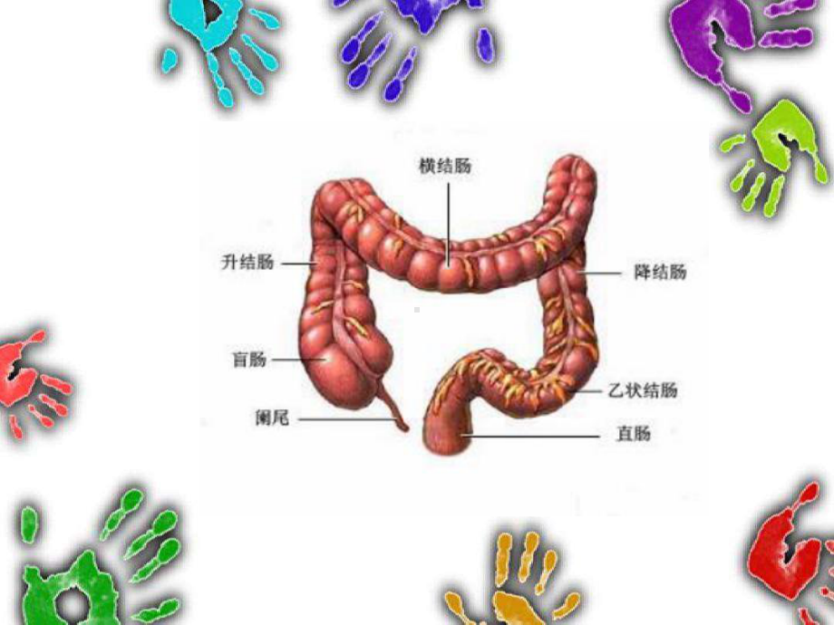 内镜下肠息肉摘除术的护理-ppt课件.ppt_第3页