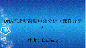 DNA琼脂糖凝胶电泳分析(课件分享).ppt