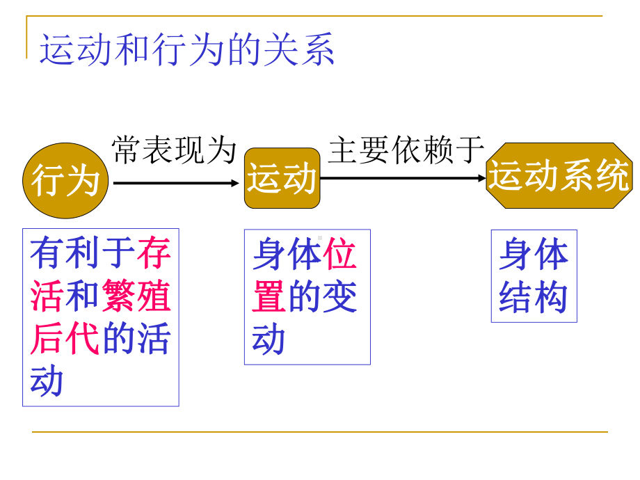 人教版八年级生物上册《动物的运动》PPT课件(8篇).pptx_第3页