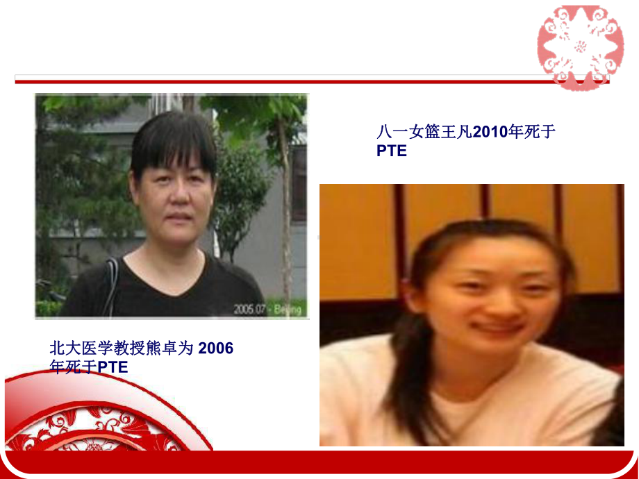 PPT医学课件静脉血栓讲解讲义.ppt_第3页