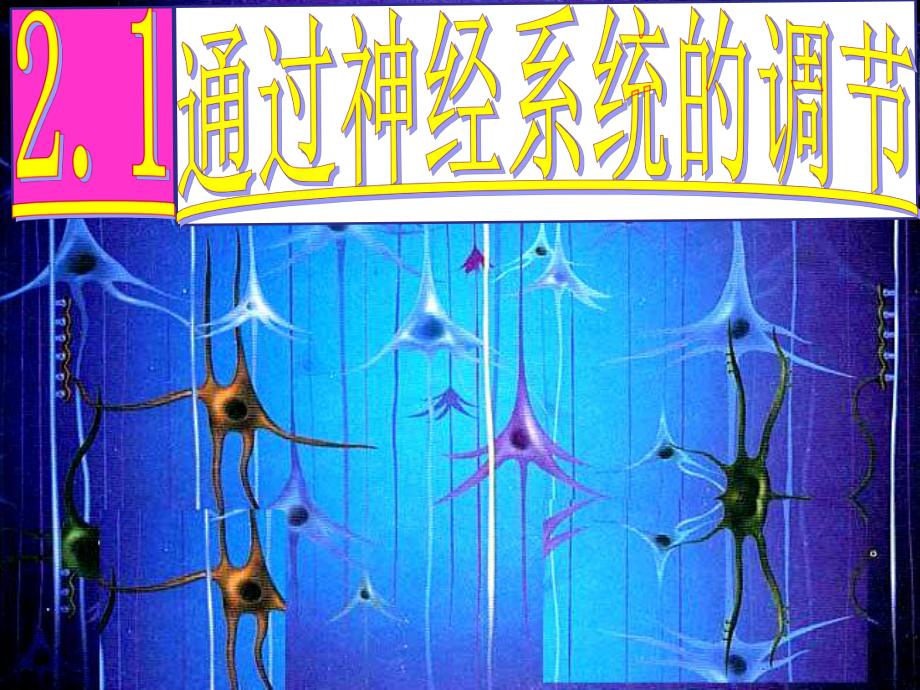 2.1《通过神经系统的调节》公开课-高中生物人教版必修三必修3人民教育出版社PPT课件普通高中.ppt_第1页