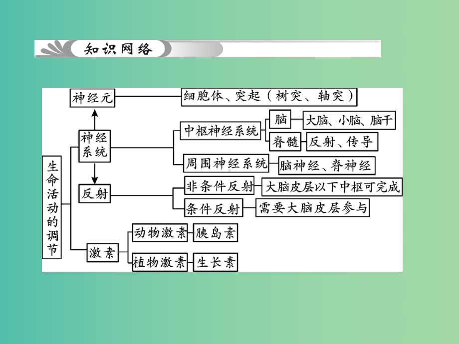 中考科学总复习-第7讲-生命活动的调节课件-浙教版.ppt_第2页