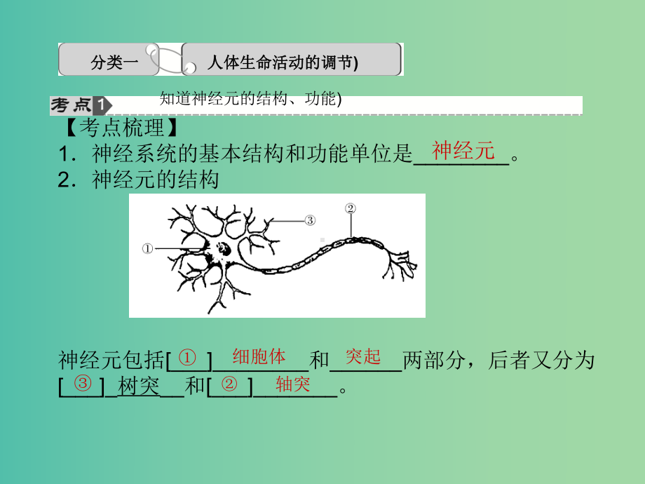 中考科学总复习-第7讲-生命活动的调节课件-浙教版.ppt_第3页