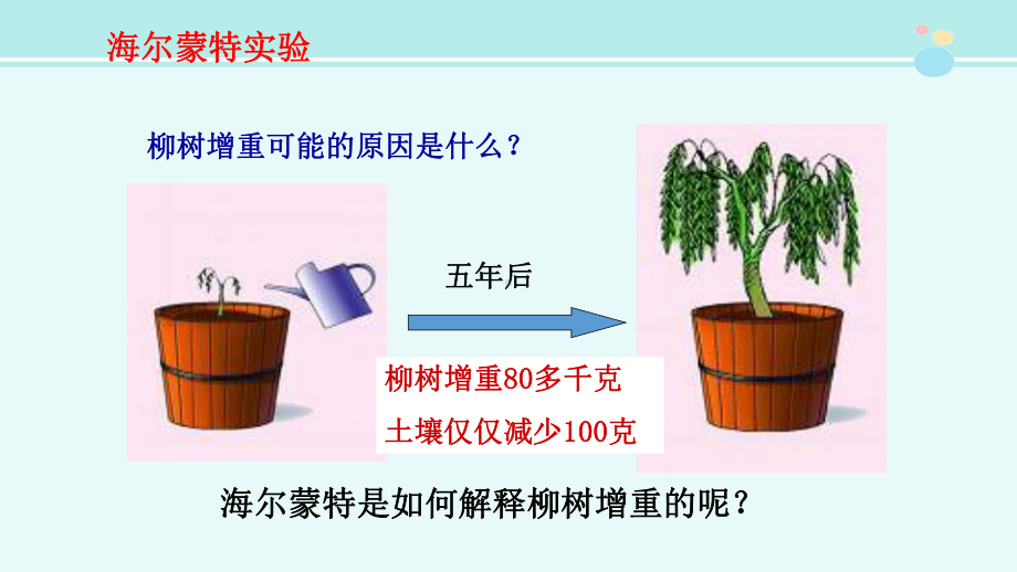 光合作用吸收二氧化碳释放氧气-完整版PPT课件.pptx_第2页