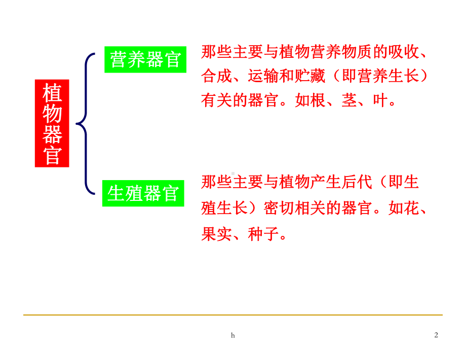 《种子和幼苗》PPT课件-(2).ppt_第2页