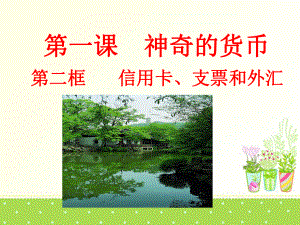 (新)人教版高中政治必修一1.2《信用卡、支票和外汇》精美课件(共30张PPT).ppt