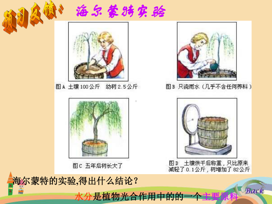 七年级生物植物的光合作用PPT优秀课件.ppt_第3页