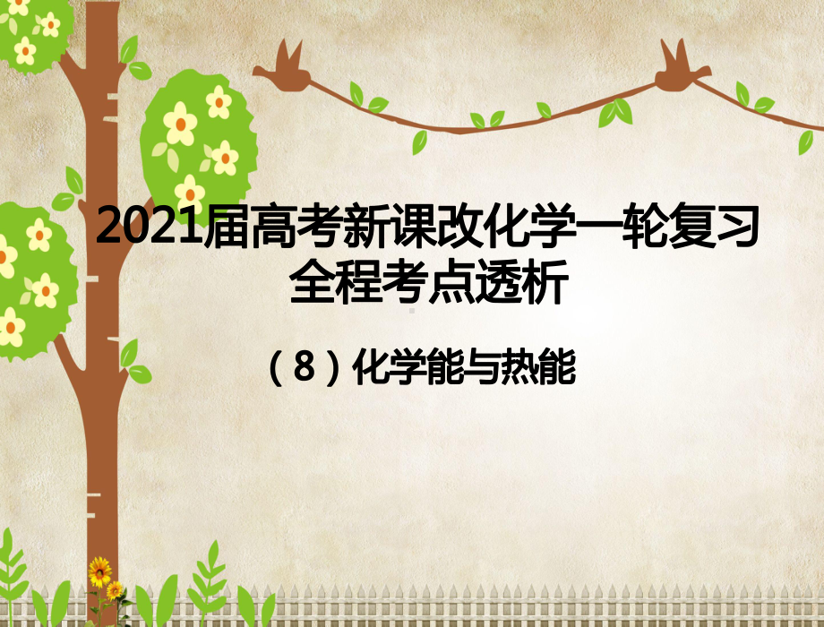 2021届高考新课改化学一轮复习课件：全程考点透析(8)化学能与热能-.ppt_第1页