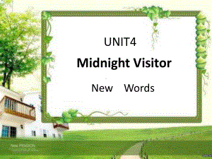 Midnight-Visitor单词部分-ppt课件.pptx