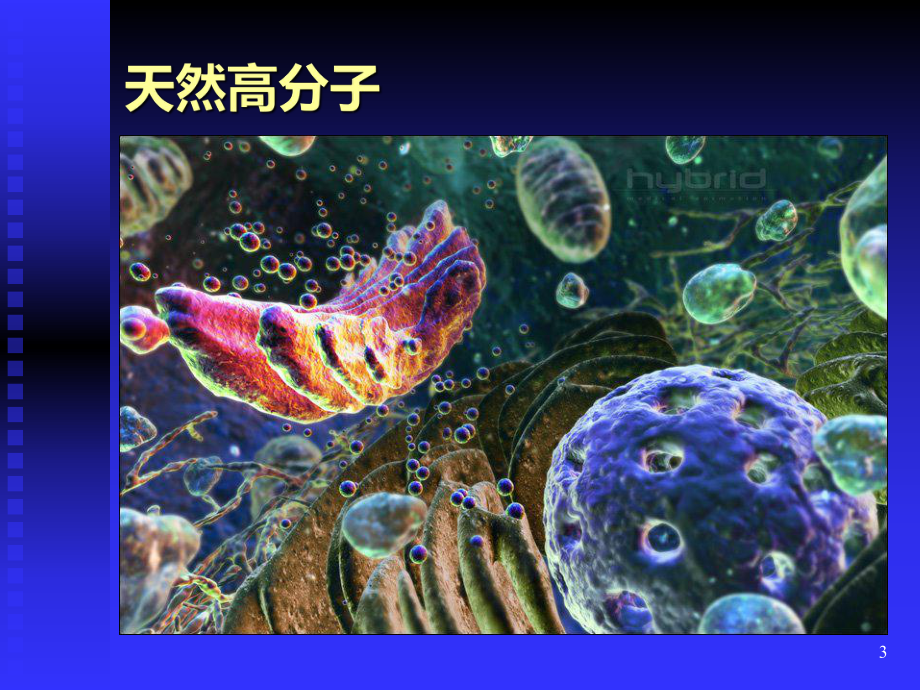 09天然高分子材料PPT课件.ppt_第3页