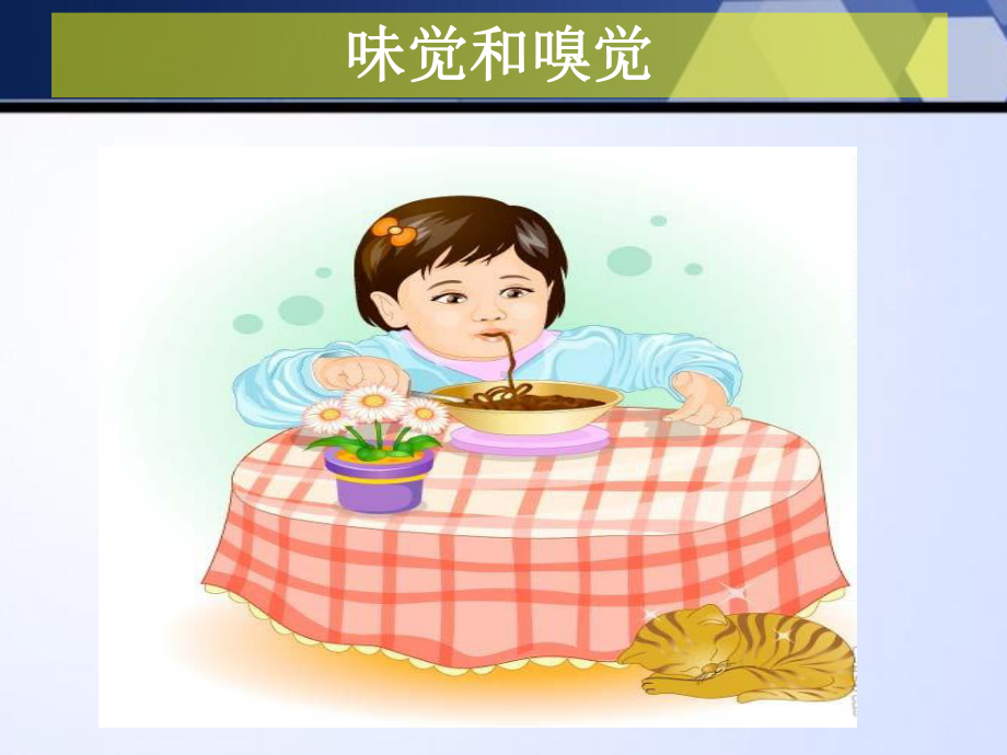 《味觉与嗅觉》课件1.ppt_第1页