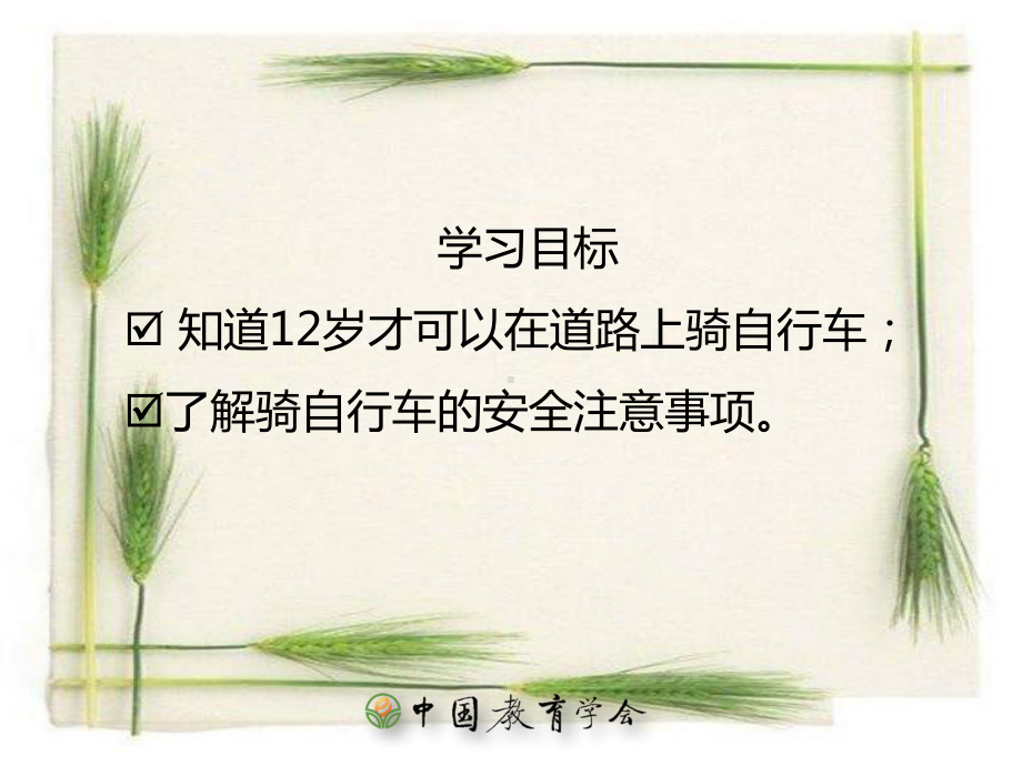 中小学公共安全教育-自行车骑车安全PPT课件.ppt_第2页