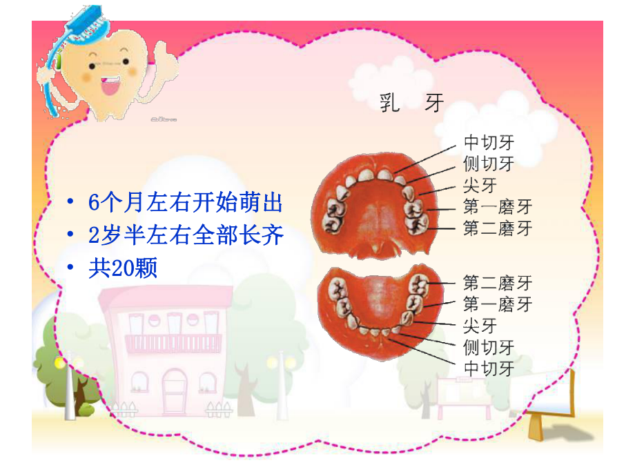 儿童口腔保健幻灯模板PPT课件.ppt_第3页