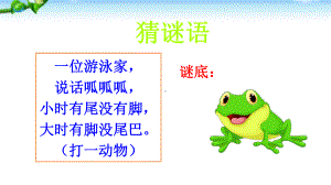 公开课-小蝌蚪找妈妈-优秀-完整PPT课件.ppt