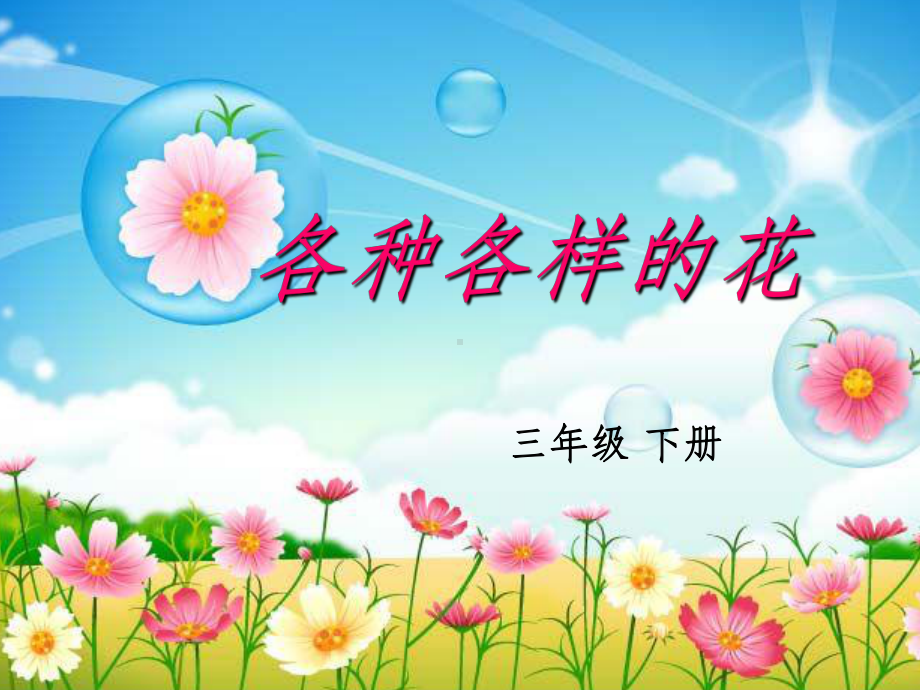 《各种各样的花》PPT课件.ppt_第1页