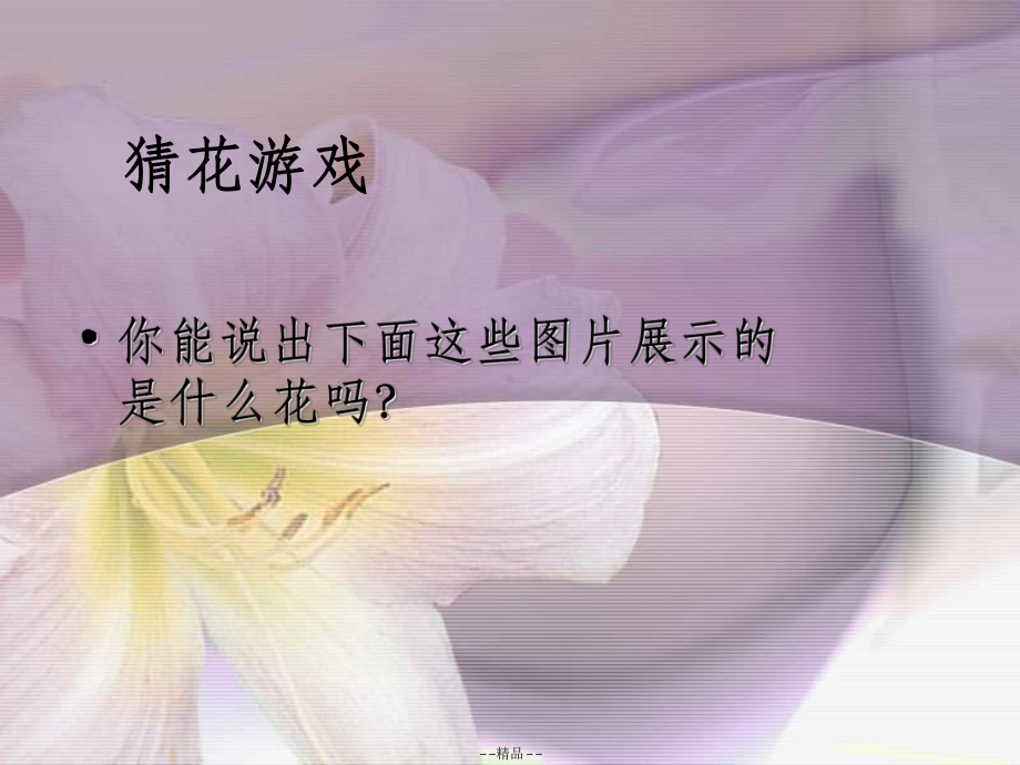 《各种各样的花》PPT课件.ppt_第2页