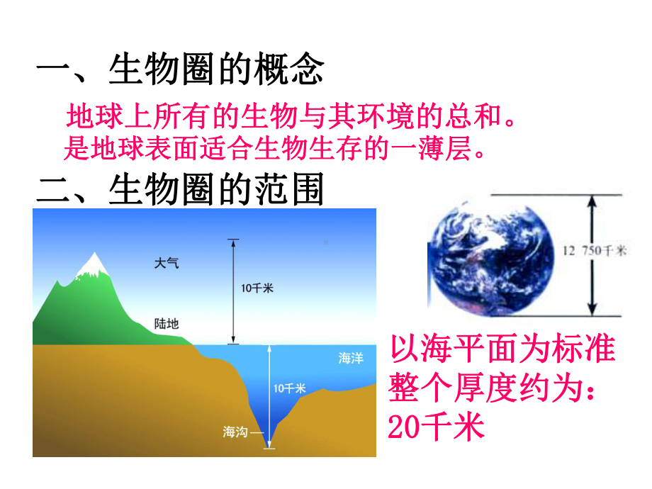 人教版七年级生物上第三节生物圈是最大的生态系统ppt公开课优质教学课件.ppt_第3页