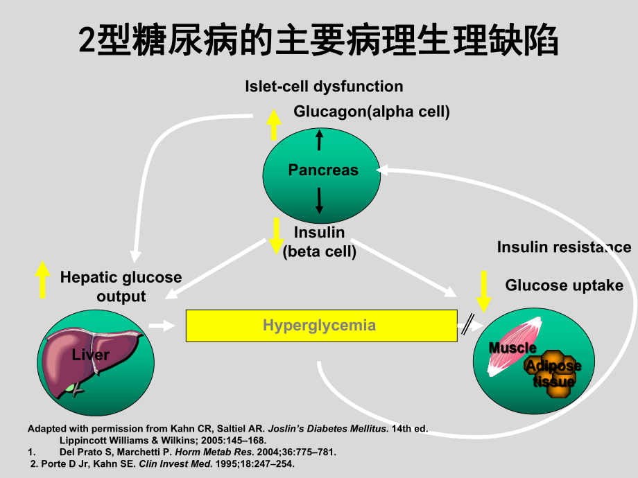 （新整理）针对糖尿病病理生理缺陷的双相调控ppt课件.ppt_第3页