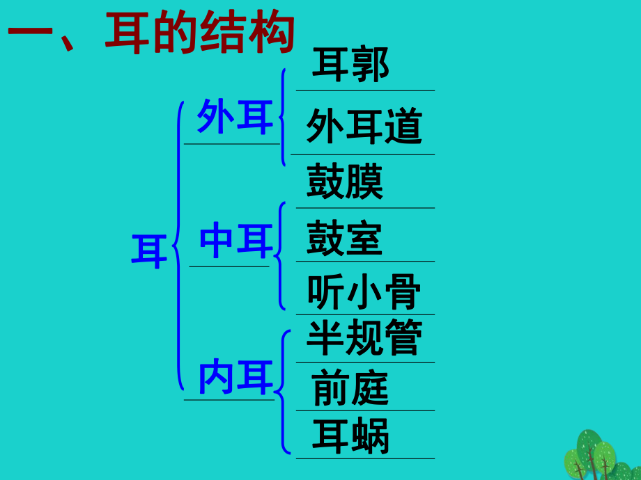 七年级生物下册-第三单元-第五章-第四节-人体对周围世界的感知-耳与听觉课件-(新版)济南版.ppt_第3页