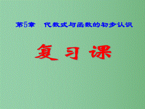 七年级数学上册-第5章-代数式与函数的初步认识复习课件-(新版)青岛版.ppt