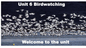 P1Unit6Birdwatching-完整版PPT课件.pptx