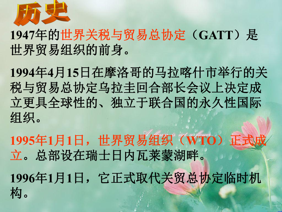 世贸组织PPT教学课件.ppt_第2页