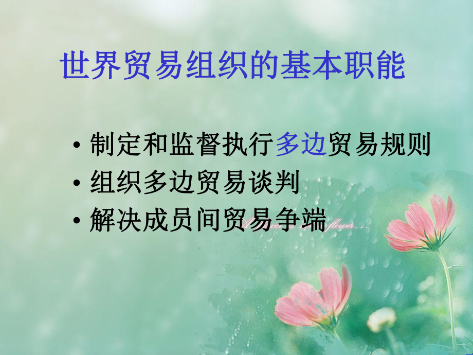 世贸组织PPT教学课件.ppt_第3页