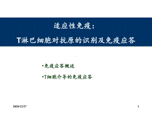 T细胞介导的细胞免疫应答-ppt课件.ppt